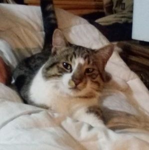 Meet your Posher, Alan